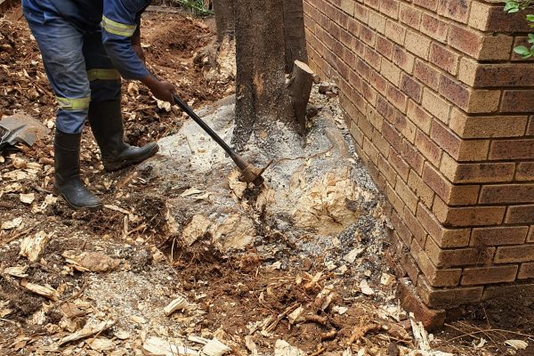 Revamp Worx Garden Maintenance in Centurion